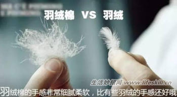 如何区分羽绒和羽绒棉？
