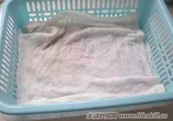 手把手教你在家发豆芽