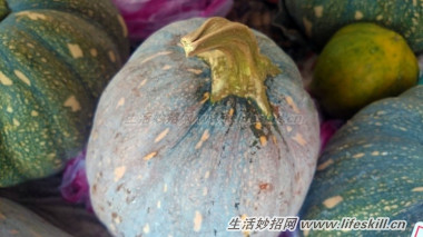 挑选南瓜五妙招