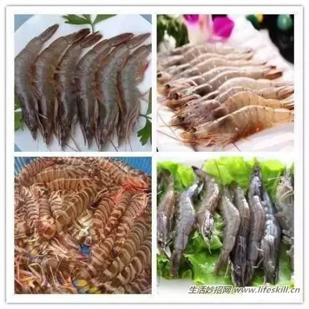 怎样挑选新鲜肥美的海鲜？
