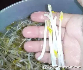 巧用可乐瓶子生豆芽