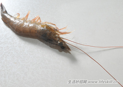 如何挑选出新鲜好虾？又如何保鲜？