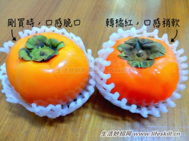 红柿软吃脆吃都好吃！