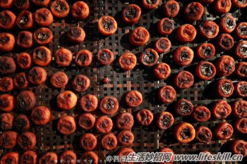 自己动手做柿饼