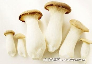 鲜蘑菇的保存方法