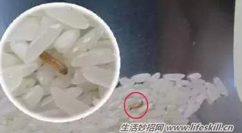 夏天必知的生活小窍门