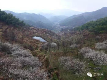江浙沪最美的几条盘山公路