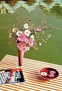 it女性 瓶插花的保鲜绝招
