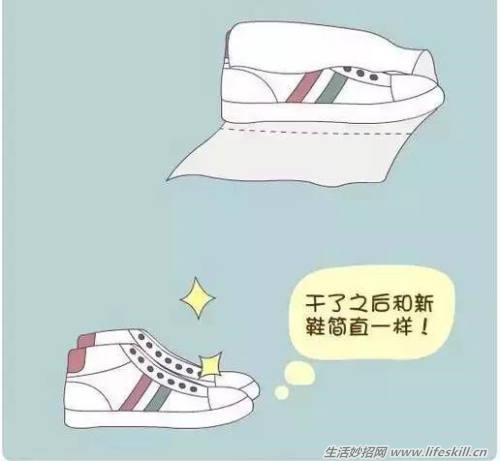 呆萌生活小常识，看了你也会爱上的！