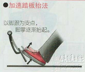 新手学开车（一）