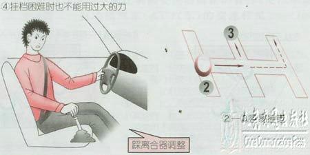 新手学开车（一）