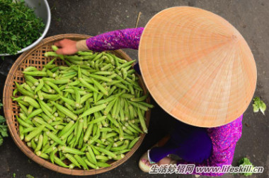 来越南旅游必买的10大商品