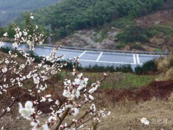 江浙沪最美的几条盘山公路