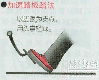 新手学开车（一）