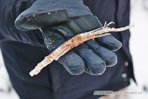 北海道踏雪寻湖 阿寒摩周国立公园美若出尘 