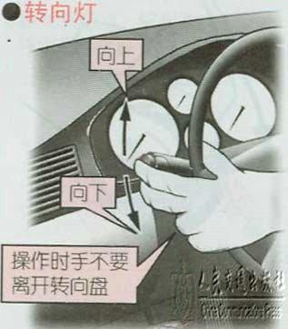 新手学开车（一）