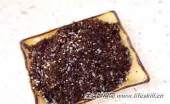 多肉植物叶插方法解密