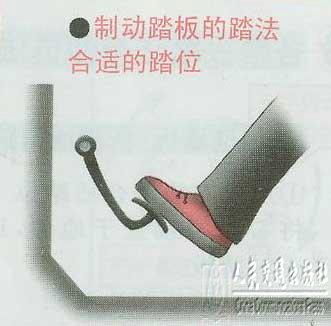新手学开车（一）