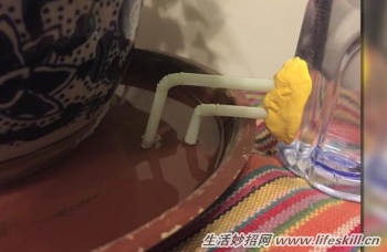 巧用塑料瓶和吸管制作自动添水器