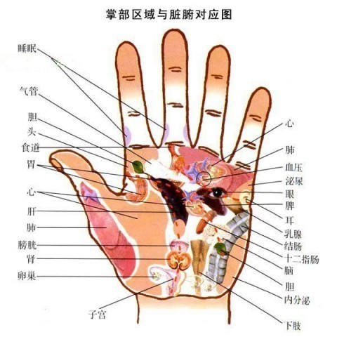 看手掌知健康