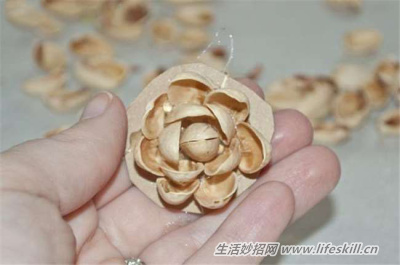 巧用开心果壳制作漂亮的装饰品