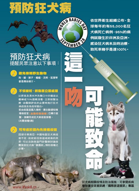 如何预防狂犬病？