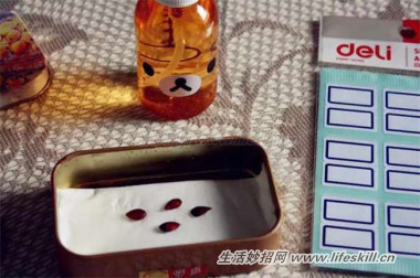 吃剩的苹果核还扔掉？教你做成漂亮的小盆栽！