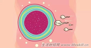 能增强你老公“虫虫”能力的4种方法